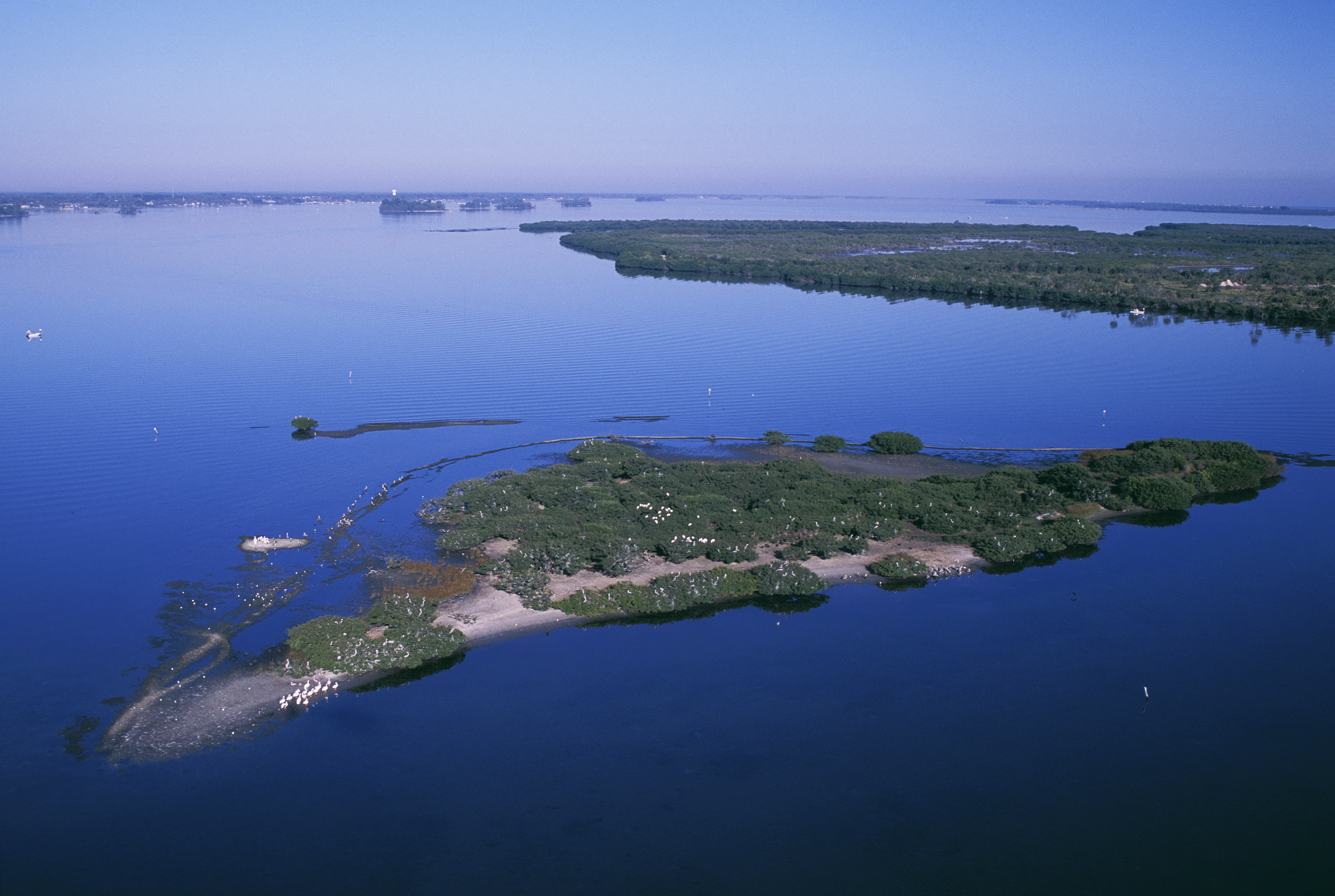 pelicanisland-florida